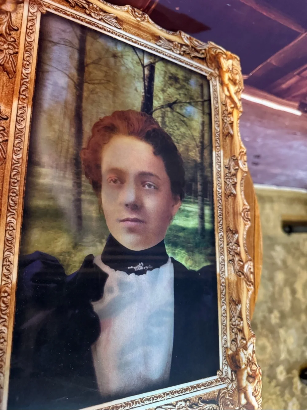 Vintage Look Faux Framed Portrait Wall Halloween Lenticular Creepy Changing